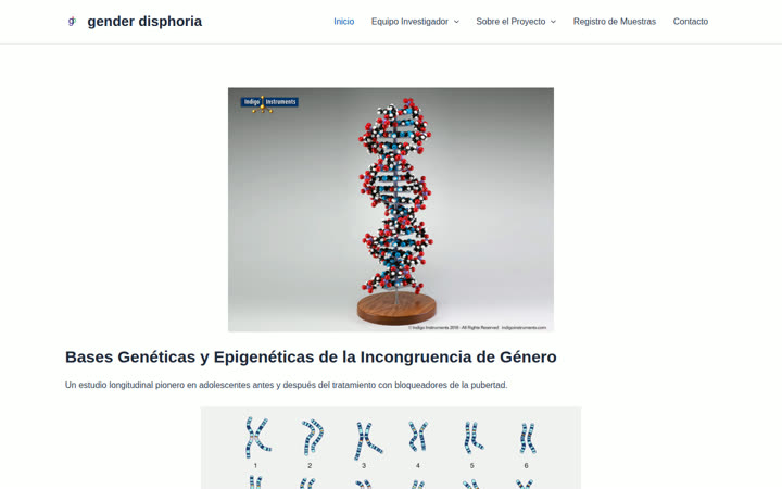 Miniatura de disphoria.atrilit.com